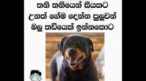 Maybe you would like to learn more about one of these? Fb Post Sinhala Fb Jokes Sinhala Athal Bukiya Page 14 Youtube