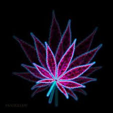 Dec 02, 2020 · the settlers ii: Trippy Purple Weed Background Novocom Top