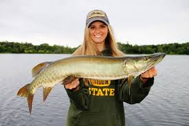 Clair's structure looks like someone made the lake specifically for muskie. Muskie Fishing In Lake St Clair
