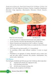 What is the cell wall and what does it do? Class 9 Science Chapter 5 Fundamental Unit Of Life Cell Study Notes Gurukul For Jee Neet