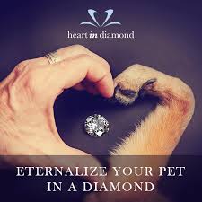 Best quality personalized jewelry with fast shipping. Pet Ashes Can Be Turned Into Diamonds Immortalise Your Pet Forever Pet Remembrance Pet Memorial Ideas Dogs Pet Ashes Jewelry
