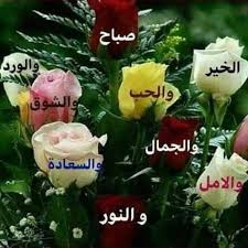ابو احمد abu ahmed 122 instagram photos and videos flower phone wallpaper good morning beautiful images morning greeting
