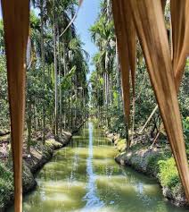 This Cafe In Thailand Is Nestled In A Coconut Garden And It Allows You To Kayak Along The Canal Bangkok Foodie In 2020 Rain And Coffee Kayaking Coffee Gallery