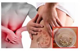 Kidney Stone Doctor Specialist In Pune Kidney Renal Stone Treatment In Pune Dr Suraj Lunavat