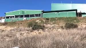 En este momento vas a morir ¡en exclusiva, el jardín de la casa de @ghmomentazos 16! Desvelan El Mayor Secreto De La Casa De Gran Hermano Ideal