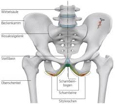 Ergo Sattel Von Sqlab Ist Gesund Und Effizienter Ebike News De