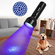 Pet Urine Detector Light Handheld Uv Black Light Flashlight Portable Dog Cat Urine Carpet Detector Super Bright 51 Led Uv Light For Pet Stain Minerals Automotive Leak Detection Walmart Com Walmart Com