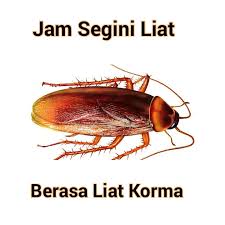 We did not find results for: Meme Lucu Kecoa Kurma