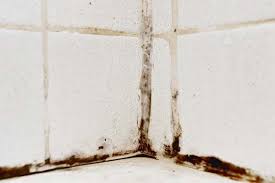 Learn How To Help Prevent Mold In Your Bathroom Americanhomeshield Homeownertips Mold In Bathroom Mold Remover Get Rid Of Mold
