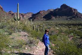 A national monument in arizona, home to rare species and sacred native american burial sites, is being blown up this week as part of construction for president trump's border wall, customs and border protection confirmed to cbs news. Alamo Canyon Organ Pipe Nm Az Hikearizona