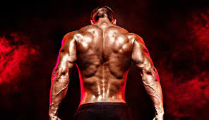 want to step up your lats workout at home read these tips