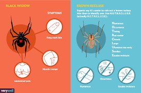 The black widow bite spider is undoubtedly the most toxic species of the creature. Spider Bites Overview And More