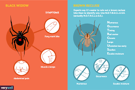 Your doctor will ask what your main symptoms are, when they began. Spider Bites Overview And More