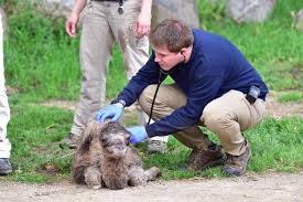 Congrats Dr. Yaw! 🙌 He earned the...