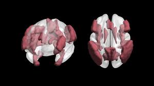 Jillian Simard, M.D.