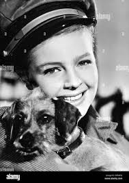 Thiele hi-res stock photography and images