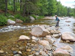 Maybe you would like to learn more about one of these? New Hampshire S Ammonoosuc River A Symbol Of Everything Wrong With Modern Fisheries Management Native Fish Coalition