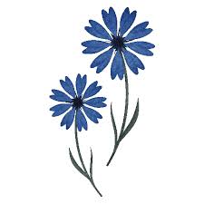 Setting up loading animations please, wait. Light Blue Flower Sticker By Soulrobox S R L For Ios Android Giphy