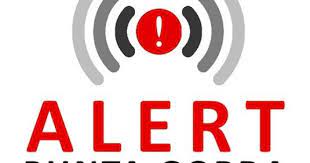 Did You Receive A Blue Alert Here S What It Means For Florida