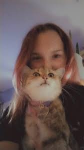 How to find two missing cats in Walden?