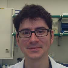 Apolipoprotein-B100, Ponceau staining after transfer step?