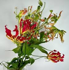 Wellmade flowers with vibrantly color, add more elegance to your decoration. Las Vegas Floral Plant Wholesale Home Facebook