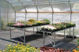 Polymax Flooring It S Not Just For The Birds Simple Greenhouse Greenhouse Hydroponics System