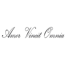 Love Conquers All I Was This On My Right Side Rib Cage Wrist Tattoos Words Latin Quote Tattoos Side Tattoos Women Quotes