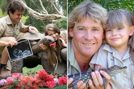 Bindi was eight when he died, but she picked up his show even while she was still grieving. Pregnant Bindi Irwin Proudly Announces The Gender Of Her Baby In Emotional Post Mirror Online
