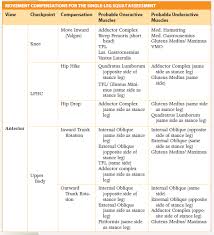 Nasm Squat Assessment Chart Related Keywords Suggestions