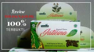 Toksin dalam tubuh itu dapat mengakibatkan untuk pembelian dan pemesanan teh daun jati cina di semarang silahkan datang langsung ke toko khalizha herbal semarang atau hubungi. Review Teh Daun Jati Cina Kapsul 100 Ampuh Youtube