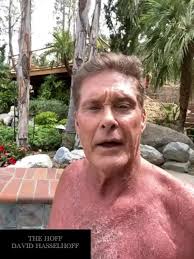 Ted David Hasselhoff