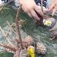 Nature Tots at Seafield Gardens event image