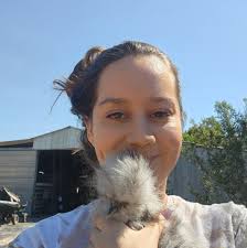 Marek's vaccinated pullets for sale in Westminster, MD