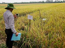 Quy định về giấy chứng nhận VietGAP ⋆ IQC.COM.VN