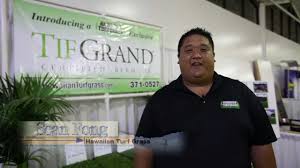 Artificial grass playground grass for your hawaii home. Hawaiian Turfgrass Tifgrand Certified Bermudagrass Sod Hawaii Youtube