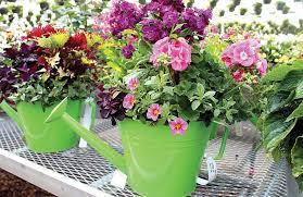 Maybe you would like to learn more about one of these? Https Www Minotdailynews Com Life Business 2018 05 Green Thumb And Lowes Back With Extended Hours