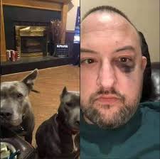 Posts with replies by Maximo Flores Alba (@MaximoFloresAl1)