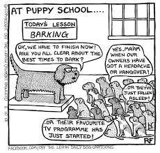 At Puppy School Puppy School Puppies Training Your Puppy