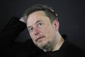 Musk told to 'mind his own business' by Home Office Minister