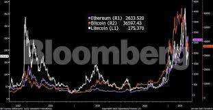 Begging/asking for bitcoins is absolutely not allowed, no matter how badly you need the bitcoins. Bitcoin There S A New Vision For Crypto And It S Wildly Different From Bitcoin The Economic Times