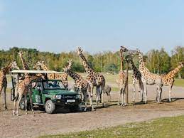Vergeet niet van tevoren online te reserveren. Trfihi Parks Parks Safaripark Beekse Bergen