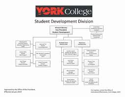 Organizational Chart York College Cuny