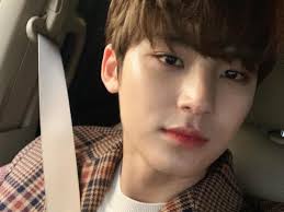 Seungkwan kim mingyu (김민규) sahne adı: Celebrating The Versatile Visual King Aka Seventeen S Kim Mingyu Pinkvilla
