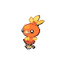 torchic pokemon pokedex ign pokemon pokemon pokedex nendoroid anime