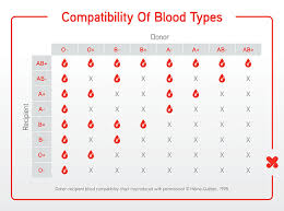 Scientists Have Discovered How To Convert Type A And B Blood