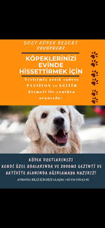 dost kopek ciftligi dostlari home facebook