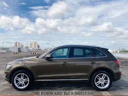 Image result for Maya Brown 2014 Q5
