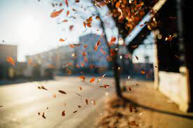 Find & download the most popular background photos on freepik free for commercial use high quality images over 9 million stock photos. 125 Best Google Meet Backgrounds To Download For Free