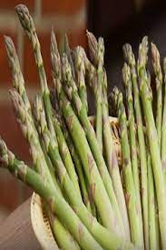 How To Tips For Growing Asparagus In Raised Beds Video Growing Asparagus Asparagus Growing